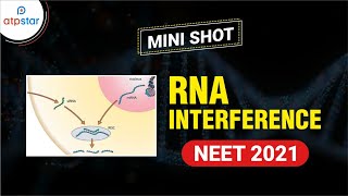 NEET 2021  RNA Interference  Biology  Mini Shot  ATP STAR [upl. by Rawdon]