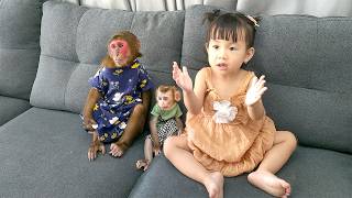 Collection of sweet and adorable moments of baby Ceri with monkeys Mon and Kobi [upl. by Ymor462]