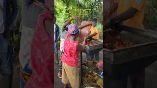 Cara pembuatan minyak goreng tradisional Afrika [upl. by Ettenil670]