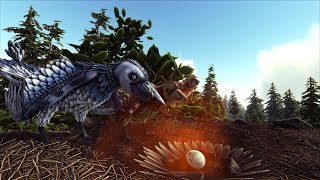 Ark  Confuciusornis Nest Demo [upl. by Tigirb]