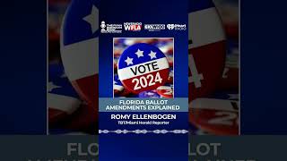 Florida Ballot Amendments Explained election2024 election [upl. by Amarillas]