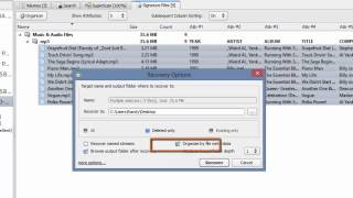 How to recover files with Active File Recovery by using Last Chance feature [upl. by Lotta878]