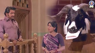 Indha Aaddu 🐐 dhaan sachi ah 😱😨😳 Aatukara Alamelu  Siva Kumar  Sri Priya  Nagesh rajshritamil [upl. by Deutsch664]