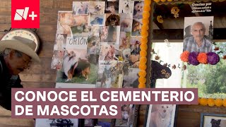 Así es el cementerio de mascotas de Querétaro Entierran desde perros hasta changos  N [upl. by Joellen394]