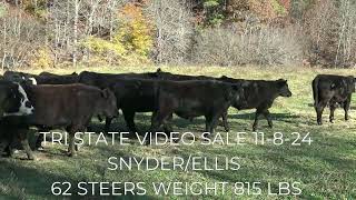 TRI STATE VIDEO SALE 11824 AT 1PM [upl. by Rex817]