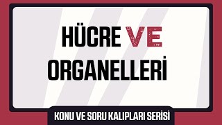 Hücre ve Organelleri Konu ve Soru Kalıpları Serisi [upl. by Slen]