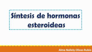 sintesis de hormonas esteroideas [upl. by Eimyaj]