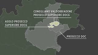 An introduction to Conegliano Valdobbiadene Prosecco Superiore DOCG [upl. by Matazzoni]