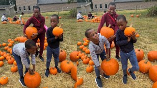 We went Pumpkin picking and Apple picking [upl. by Nonna]