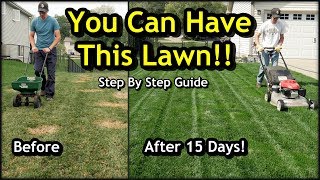 Fix an Ugly Lawn with Overseeding  Complete Step by Step Guide For Beginners [upl. by Novihs]