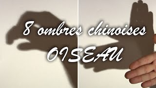 TUTO 8 ombre chinoise doiseau [upl. by Dygal]