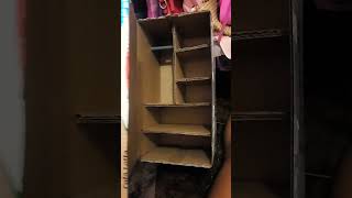 Diy Cabinet diy diycabinet cabinetbox diycrafts diyprojects diyideas amazing [upl. by Nyladam]