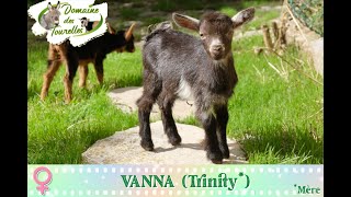 Diaporama de VANNA Trinity  2024 [upl. by Rehtse]