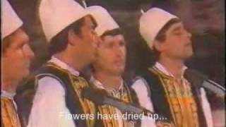 Flaka Mbuloi Fshane Albanian folk music with English subtitles [upl. by Yoo]