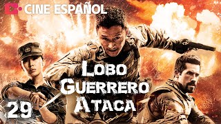 Fuerza Especial China lobo de guerra defiende su honor  Lobo Guerrero Ataca EP29  WuJing [upl. by Delija]