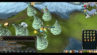 Woodcutting Arctic Pines [upl. by Namyh]