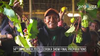 🇵🇬 Final Preparations today for the 2023 Goroka Show [upl. by Garges691]