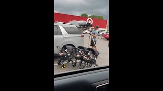 Triplet Dad solves Stroller Problem 😲 [upl. by Aihsekyw]