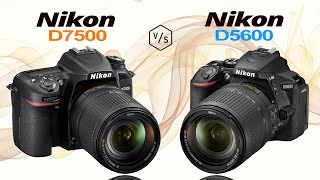 Nikon D7500 vs Nikon D5600 [upl. by Anai]