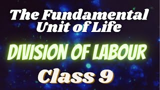 Biology  Division of Labour  Class 9  The Fundamental unit of Life  Part 3  CBSE [upl. by Luanni]