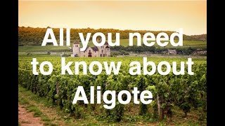 All you need to know about Aligote [upl. by Mildrid656]