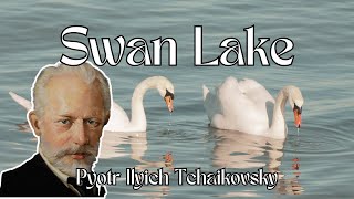 Study Music  Tchaikovsky Swan Lake with 4K Nature Scenes [upl. by Peltier]