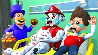 PAW Patrol The Movie 41 ► Chief Ryder amp Marshall in Trouble The Secret Behind The Mayors Apples [upl. by Keating]