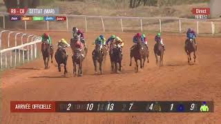 Live Hippodrome « SETTAT »  Courses du « 10062023 » [upl. by Cardon]