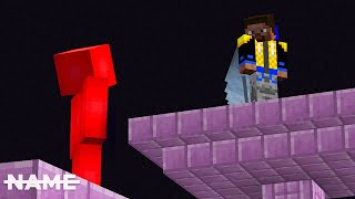 I Hired Rekrap2 To Help Get Me An Elytra 6 [upl. by Karrie]