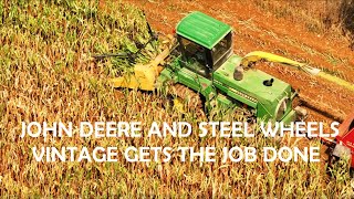 OLD ORDER MENNONITE HarvestSteel Wheeled JOHN DEERE 5830 Forage HarvesterChopping 35 Years Later [upl. by Oskar]