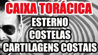 Vídeo Aula 106  Anatomia Humana  Caixa Torácica Esterno Costelas e Cartilagens Costais [upl. by Airotna3]