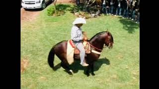 Desde El Rancho El Centenario en El Salto Jalisco [upl. by Nnawtna201]