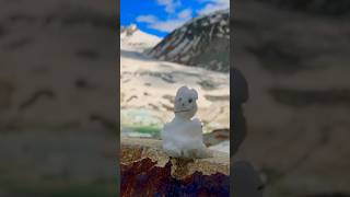 Snowman Rhône Glacier Switzerland 🏔️❄️🇨🇭 hiking switzerland glacier snowman [upl. by Sawyer]