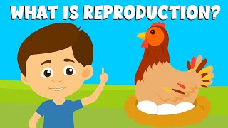 ReproductionTypes of reproductionReproduction in plants and animalsVideo for Kids [upl. by Acinimod]