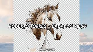 Roberto Torres  Caballo viejo  Letra ✨🥀 [upl. by Grof]