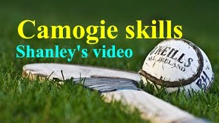 CAMOGIE SKILLS TUTORIAL😝😍 [upl. by Remliw]