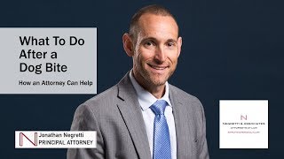 What To Do After a Dog Bite How an Attorney Can Help [upl. by Kip]