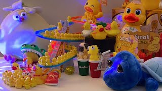 LET’S PLAY asmr asmrsounds asmrvideo satisfying relaxing toys duck cute play show shorts [upl. by Noiraa]