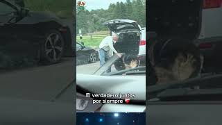 ¡Increíble Amor ❤️ Señor Mayor Ayuda a su Perro a Subir al Auto  ¡Tienes que Verlo 🐶🚗 [upl. by Ellynad]