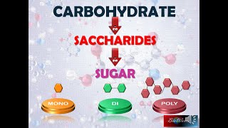 Biology STPM Carbohydrate Part 1 Monosaccharides [upl. by Nala]