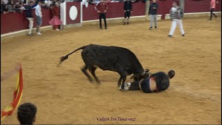 Zaragoza – Mañana vaquillera 06102024 – Nº2Alegría – quotSantos Zapateríaquot – HD [upl. by Vanzant]