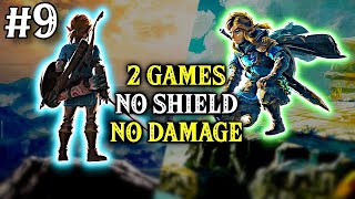 2 Games BOTW  TOTK Back To Back No Shield No Damage Runs  Day 9 [upl. by Awuhsoj]