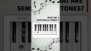 Whats the Difference Tones vs Semitones [upl. by Lledrev]