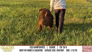 CSS HAMPSHIRES  DUROC  EN 195  NSR Collectors Edition  Nov 20 2024 [upl. by Darya]