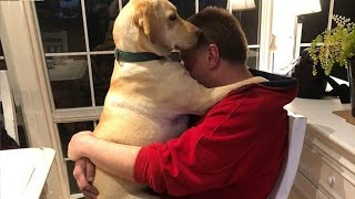 Does anyone else have a dog like this 😁 Cute Dog And Human Moments [upl. by Love]