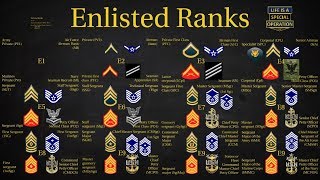 US Military All Branches ENLISTED Ranks Explained [upl. by Annehsat847]