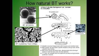 Advances in BiotechnologyModule 1 Transgenic Plants [upl. by Proudman417]