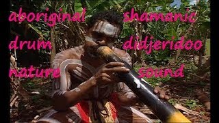 Musica shamanica aborigena didgeridoo tamburo suoni foresta riti guarigione Shamanic soul [upl. by Seel]