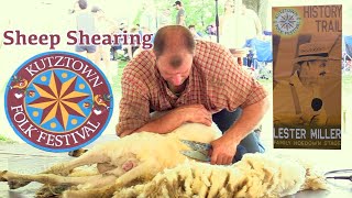 Chris Stitzel Shears A Sheep Like A Boss At The Folk Festival [upl. by Nigen26]