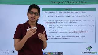 Class 12th – Cleavage of CO Bond Problem Example  Alcohols Phenols and Ethers  Tutorials Point [upl. by Ysdnyl]